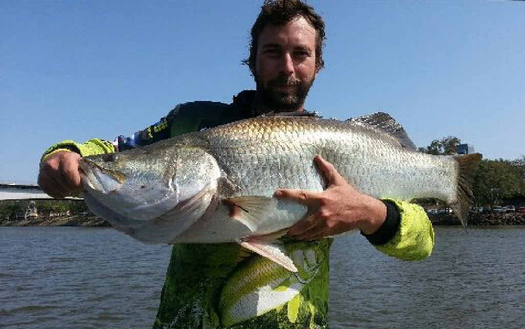 One-metre barra shakes cobwebs for Andrew Wilcox