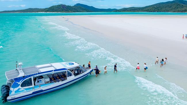 SeaLink Whitsundays delivers guests to Hayman Island.