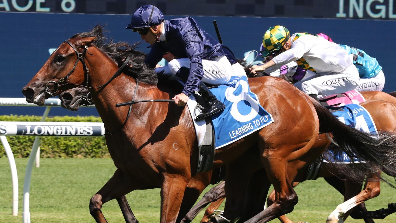 Shayne O Cass gives his analysis and tips for Royal Randwick