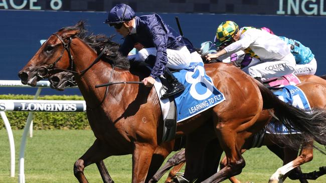High-class filly Learning To Fly can remain undefeated in the Reisling Stakes on Saturday. Picture: Grant Guy