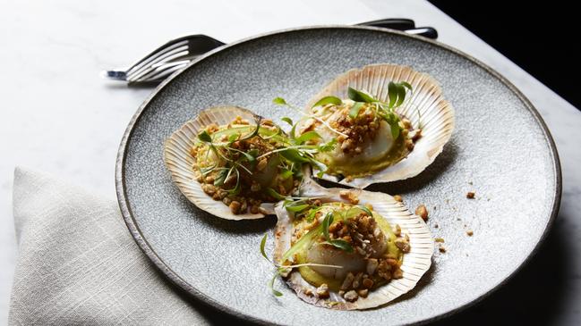 Scallops. Picture: Parker Blain