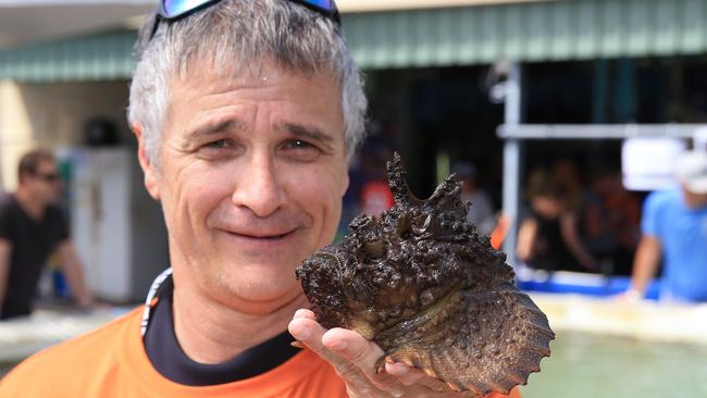 Dr Jamie Seymour with a stone fish, one of the world’s most deadliest. He was with Steve Irwin when he died. Picture: News Corp Australia