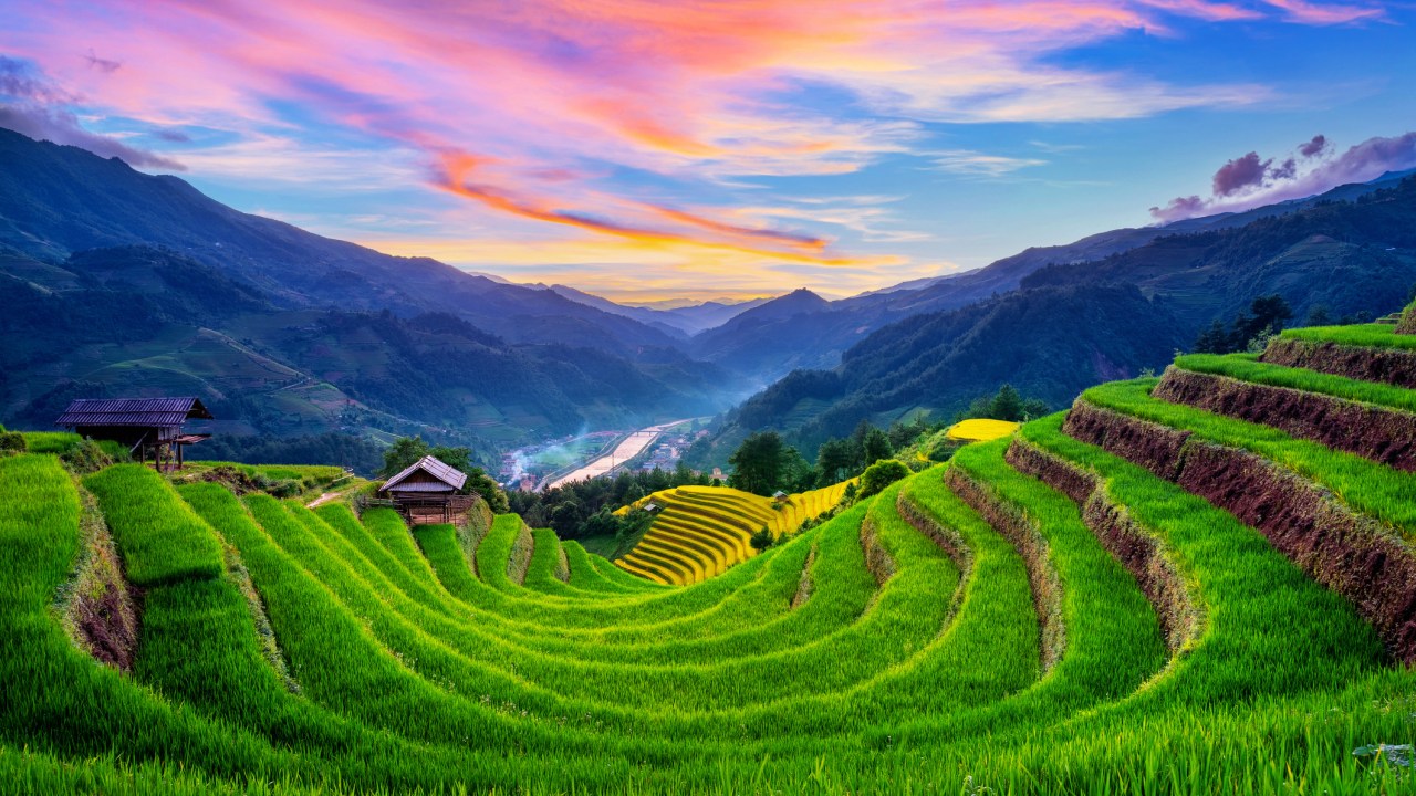 9 Best Things To Do In Vietnam In 2024 Escape Com Au   D4ad7f4037d9eac3cd02324139b7a7ed