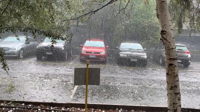 Cricket-ball sized hail falls in Glen Iris.