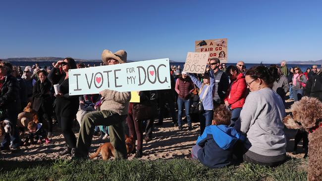 Dog owners and their four-legged friends rally at Kingston Beach against the Kingborough Council's new policy regarding dogs. Picture: LUKE BOWDEN