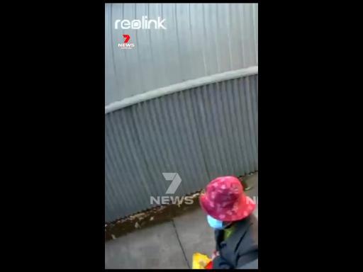 Disgusting driveway act caught on CCTV (7NEWS)