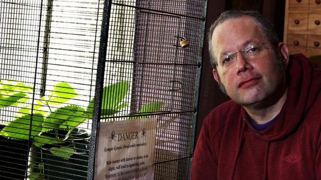 Taking a leaf out of 'Little Shop of Horrors', Daniel Emlyn-Jones shows off his Gympie-Gympie plant. Picture: Oxford Mail.