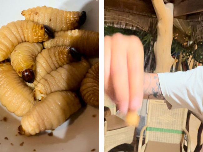 Eating Sago worms in Indonesia