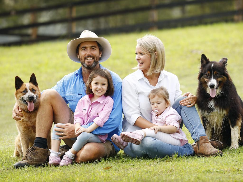 Doggy day care store farm