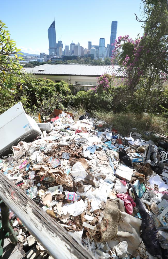 Joy Lamb at Lamb House which is becoming ruined and has squatters. Pic Peter Wallis