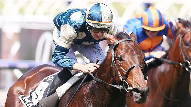 Hugh Bowman is appealing against the severity of his 35-meeting for infringements on Marmelo in the Melbourne Cup. Picture: Getty Images