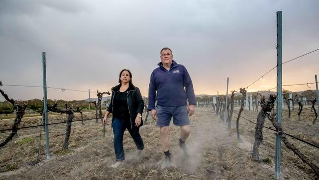 Robyn Puglisi-Henderson and Mario Gangemi on their Ballandean Estate Wines property near Stanthorpe on Tuesday. Picture: Luke Marsden