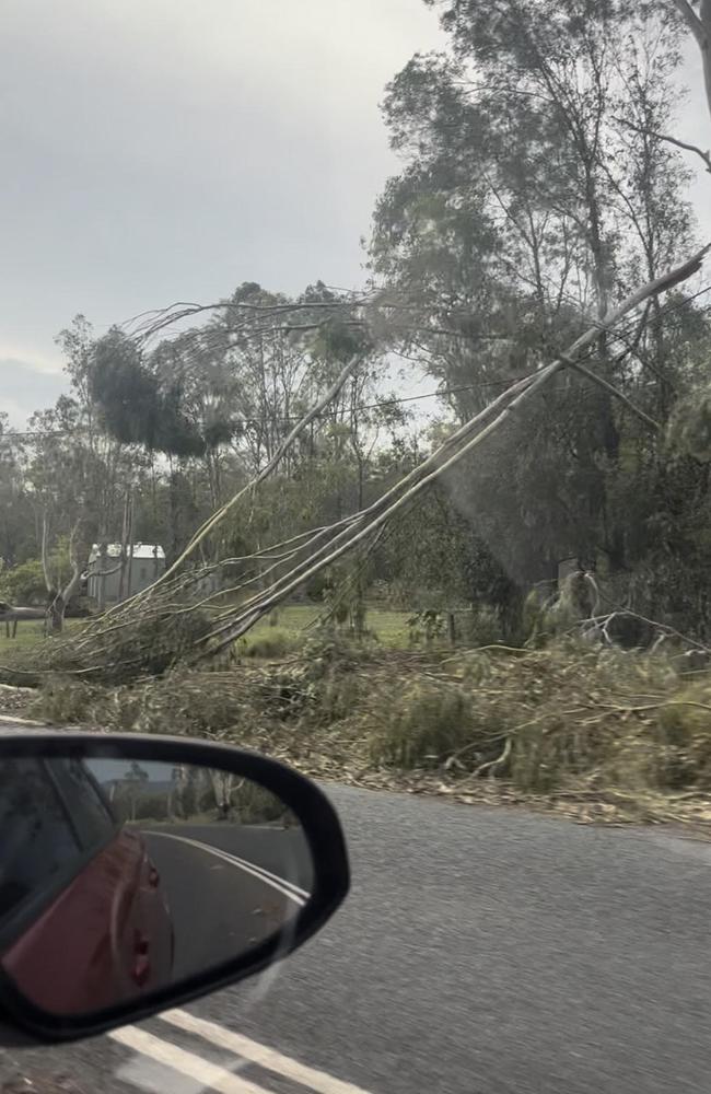 Powerlines remain severely damaged in Tamborine Village. Produce store destroyed by tree after Christmas Day storms