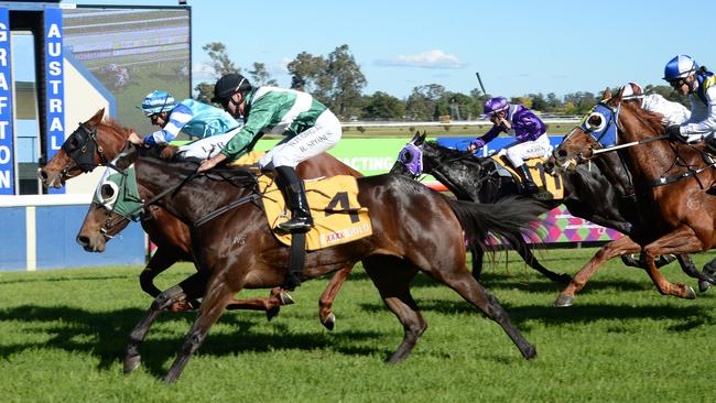 Luke Rolls brings Dwayne Schmidt-trained Delta Eagle home in race 2 on Ulmarra Cup Day at Grafton on June 6, 2020.