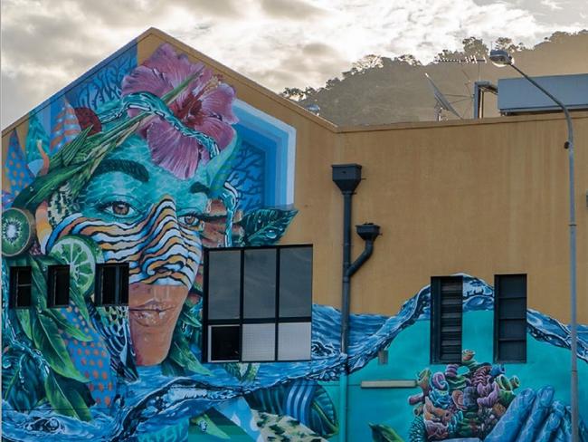 Townsville has a growing collection of commissioned street art. Picture: TCC.