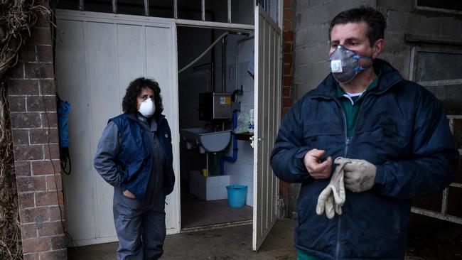 Italian milk farmers Dario Sereno (right) and his wife Massima Santoro wear face masks as they prepare to milk cows on their farm in the countryside of Vottignasco, Piedmont. Picture: AFP