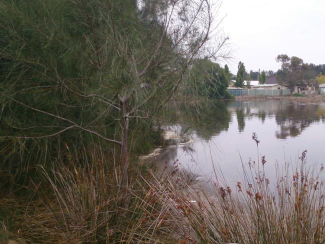 The wetlands have been on the community’s radar since 1984.