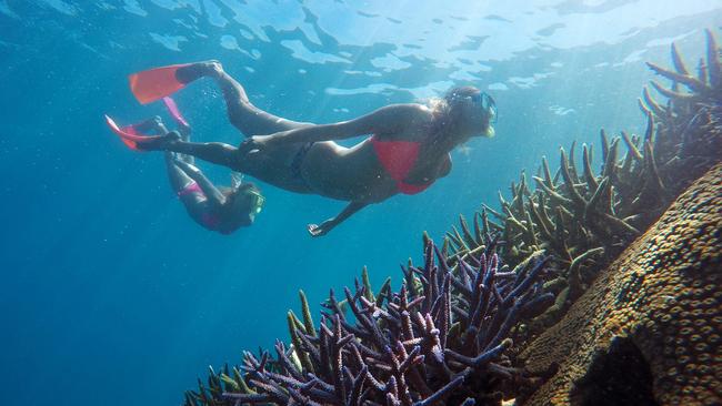 The Great Barrier Reef could be on your holiday agenda, with flights to Cairns from $9. Picture: Brian Cassey