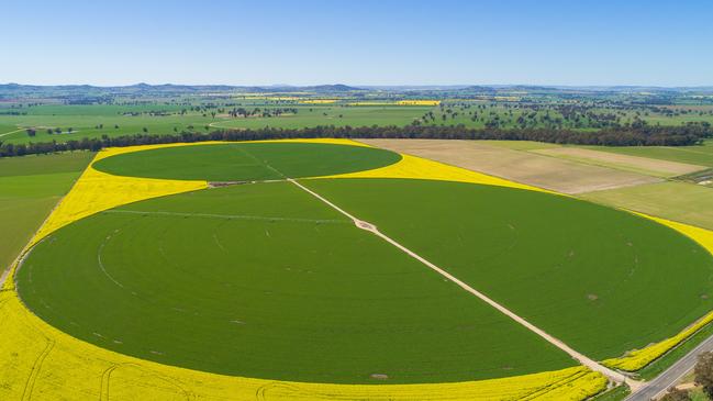 Silvermere Holsteins is capable of producing irrigated fodder crops.