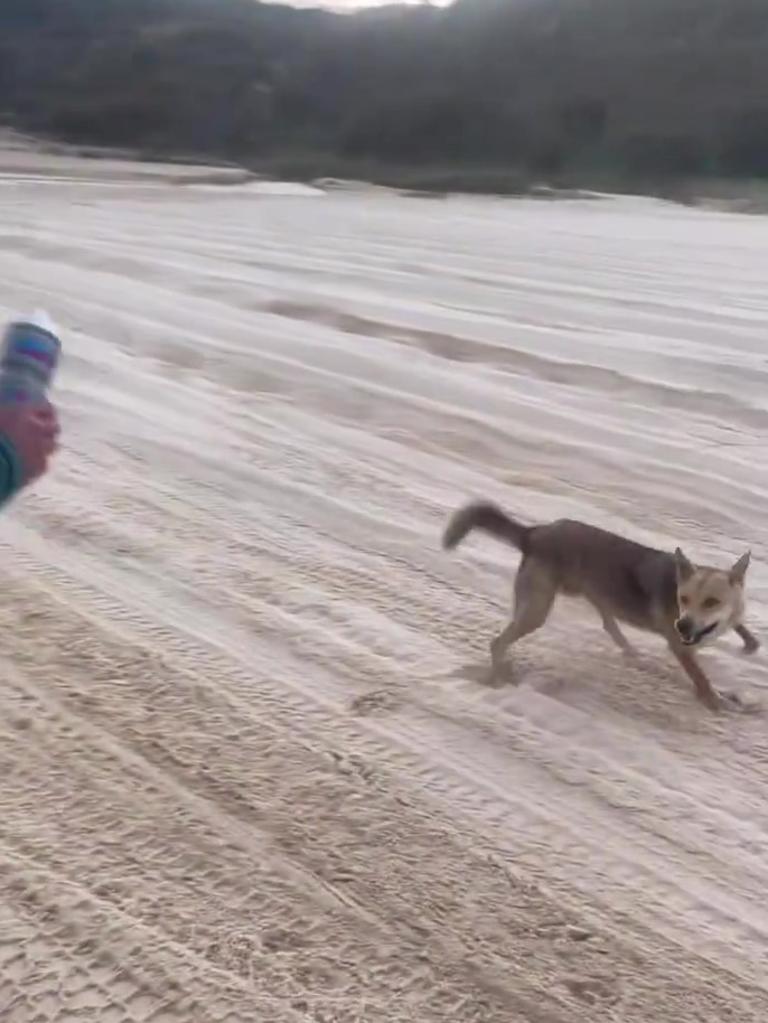 He had to get towed to safety in a car. Photo: Instagram