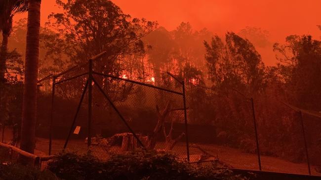 The bushfires flame behind an evacuated animal enclosure at Mogo Zoo today. Picture: Chad Staples