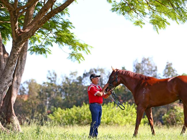 Trainer Peter Snowden has his hands full with Magic Millions 2YO Classic winner Capitalist after his unexpected defeat in the Group 2 Todman Stakes. Picture: Kit Wise