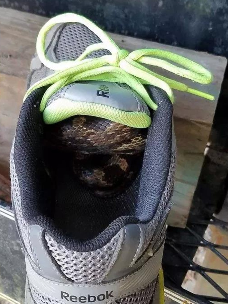 A good reminder to check your shoes.