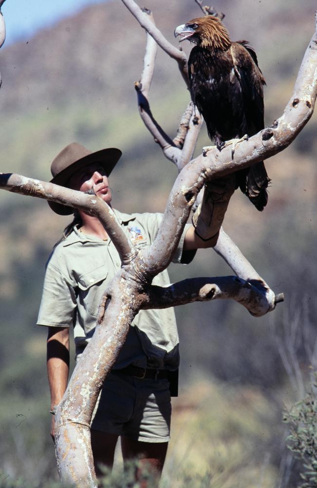 Plans for the Desert Wildlife Park Alice Springs were approved by Cabinet in 1994. Picture: Supplied