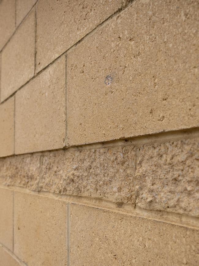 Bullet hole on the outside of the toilet block wall on Hookings Tce at the Hanson Reserve. Picture: Emma Brasier