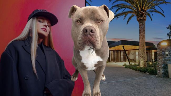 Tones and I has been fined after her American bulldog escaped her property and attacked an elderly cavoodle, killing it.