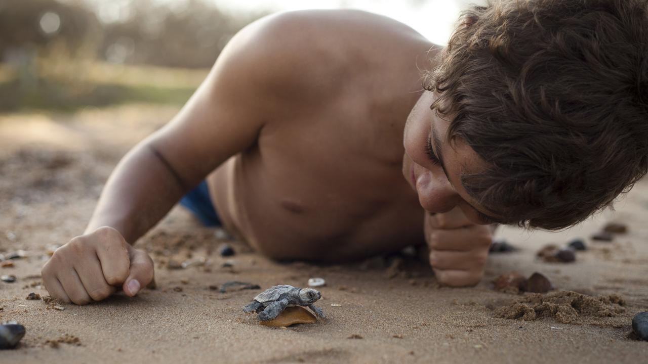 Mon Repo is a wonderful opportunity to get up close and personal with turtles as they hatch. Photo by Rowan Bestmann