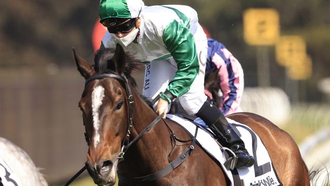 Entente will likely back-up in the Group 1 The Metropolitan at Randwick on Saturday. Picture: Getty Images