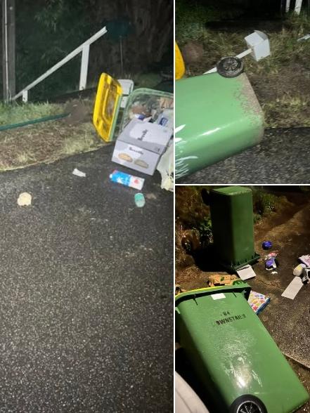 A post letting people know letterboxes were pulled out and bins tipped over in Terrigal. Picture: Facebook