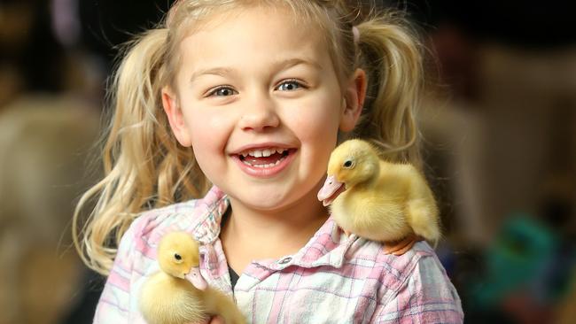 Royal Melbourne Show. Picture: Tim Carrafa
