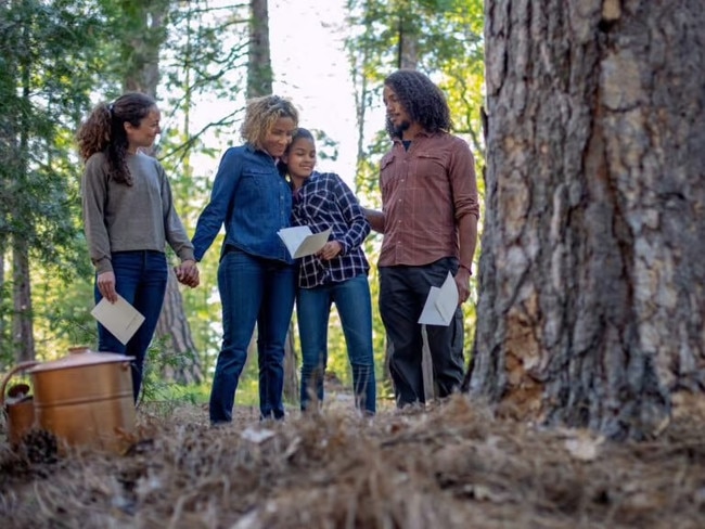 Better Place Forests aims to provide an alternative to cemeteries.