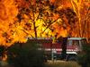 CFA volunteers call for levy discount