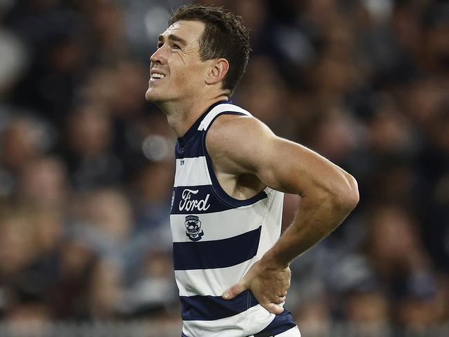 Cats star under fire for Maccas comment