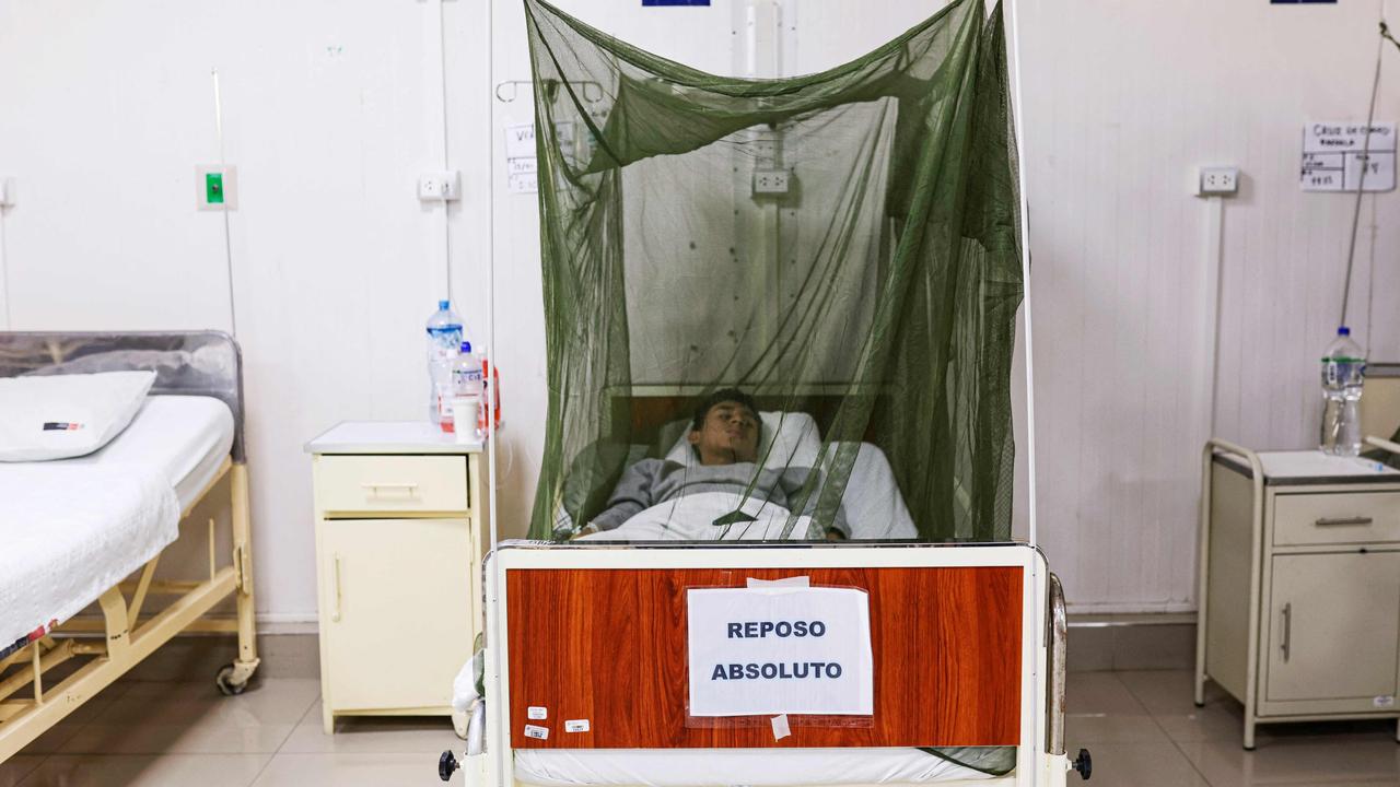 Dengue fever presents with ‘flu-like’ symptoms, but can be deadly. Picture: Juan Carlos CISNEROS / AFP