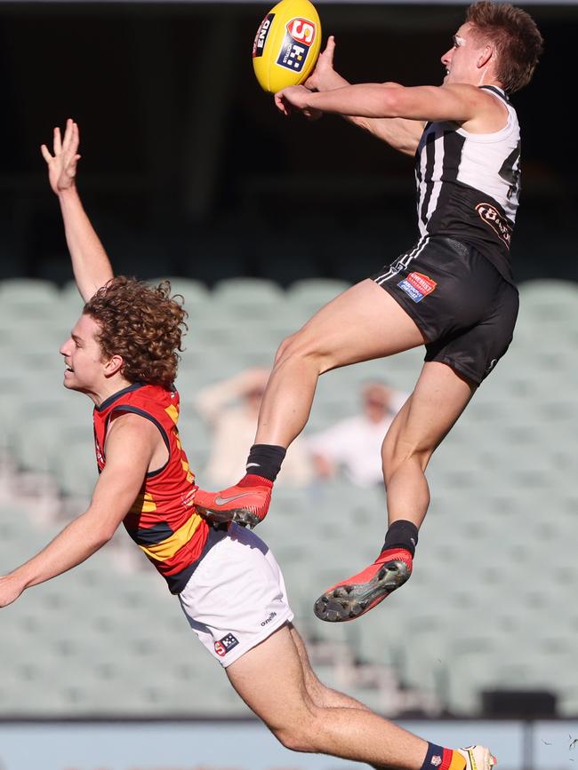 Port Adelaide’s Jackson Mead uses Crow Zac Taylor as a step ladder during the Magpies’ stunning upset at Adelaide Oval. Picture: SANFL Image/David Mariuz.