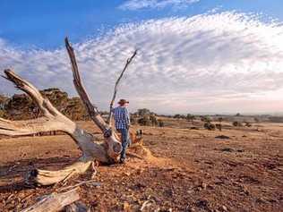 HELP IS COMING: During October Service NSW will be visiting rural and regional centres, such as Tenterfield, with resources to support them as communities struggle with one of the worst droughts on record. Picture: Contributed