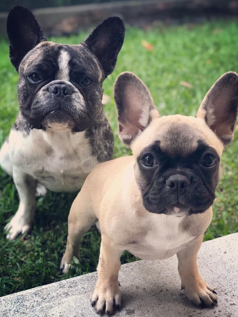 Elroy and JuJu. Photo Merran Potter. 