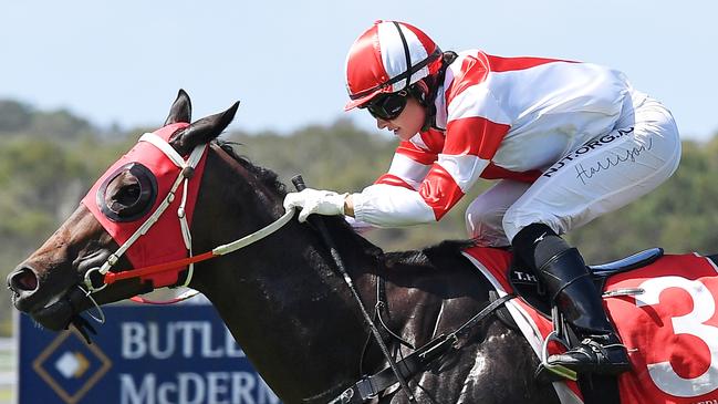 Tegan Harrison (pictured) rides Great Marlow for trainer John Shelton.
