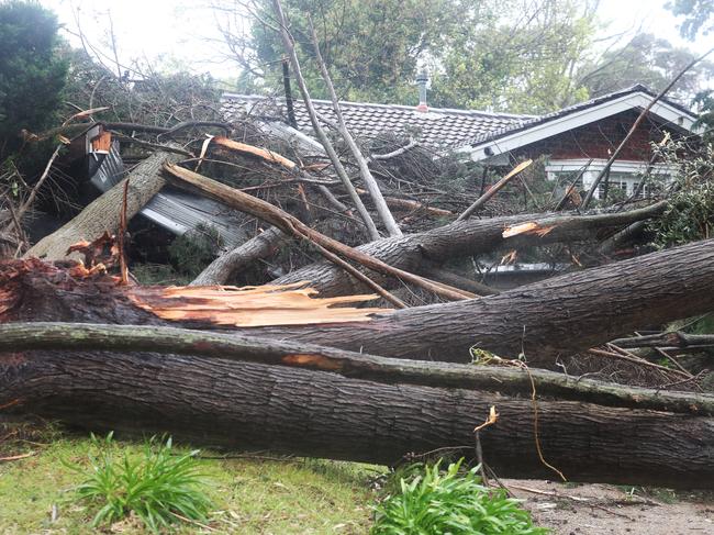 A garage in Mt Eliza is destroyed by a fallen tree. Picture: David Crosling