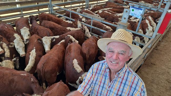 NSW bullock producer Paul Mason, Wellington, continued to support the feature lines of Hereford calves at Hamilton, paying to $2002 for Leon Wheeler’s steers this afternoon. Weighing 402kg they made 498c/kg. However it was at the top end of the market for whiteface calves, with most sales from 440c to 480c/kg, the sale tracking at an average of 471.5c/kg lwt with just a laneway of light calves to sell. Picture: Jenny Kelly