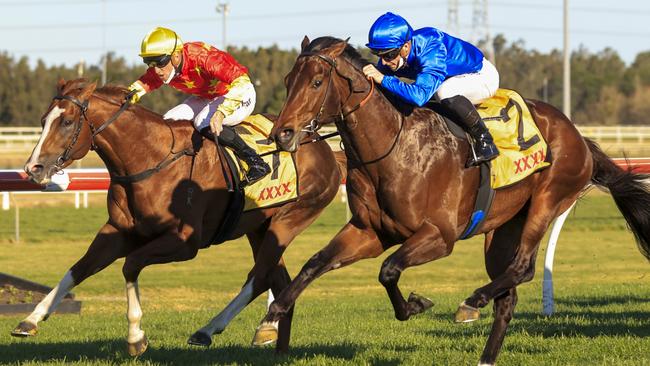 In The Congo (left) was game in defeat behind Anamoe in the Run To The Rose. Picture: Getty Images