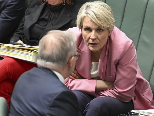 CANBERRA, AUSTRALIA  - NewsWire Photos - November 28, 2024: Minister for the Environment and Water of Australia, Tanya Plibersek during Question Time at Parliament House in Canberra. Picture: NewsWire / Martin Ollman