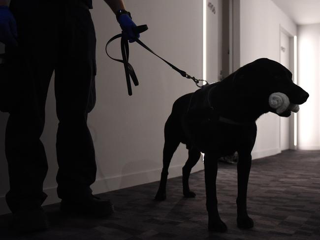 Australian Boarder force officers raided an apartment in Melbourne CBD. Picture: Nicole Garmston