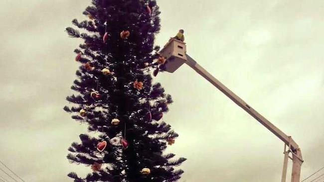 Lismore's "wonky" Christmas Tree getting decorated this morning by council workers.  Photo Contributed. Picture: Contributed