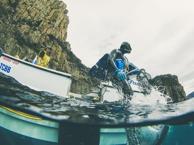 A day in the life of abalone diver James Polanowski. Picture: STUART GIBSON