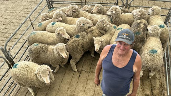 Peter Robertson from Woodside North at Jerilderie, NSW, sold a range of ages of Merinos at the Corowa sheep sale, including a line of older ewes that made $138. Mr Robertson said a year ago, the same quality ewes would not have made $50.